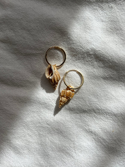 Spiral Wrapped Shell Earrings