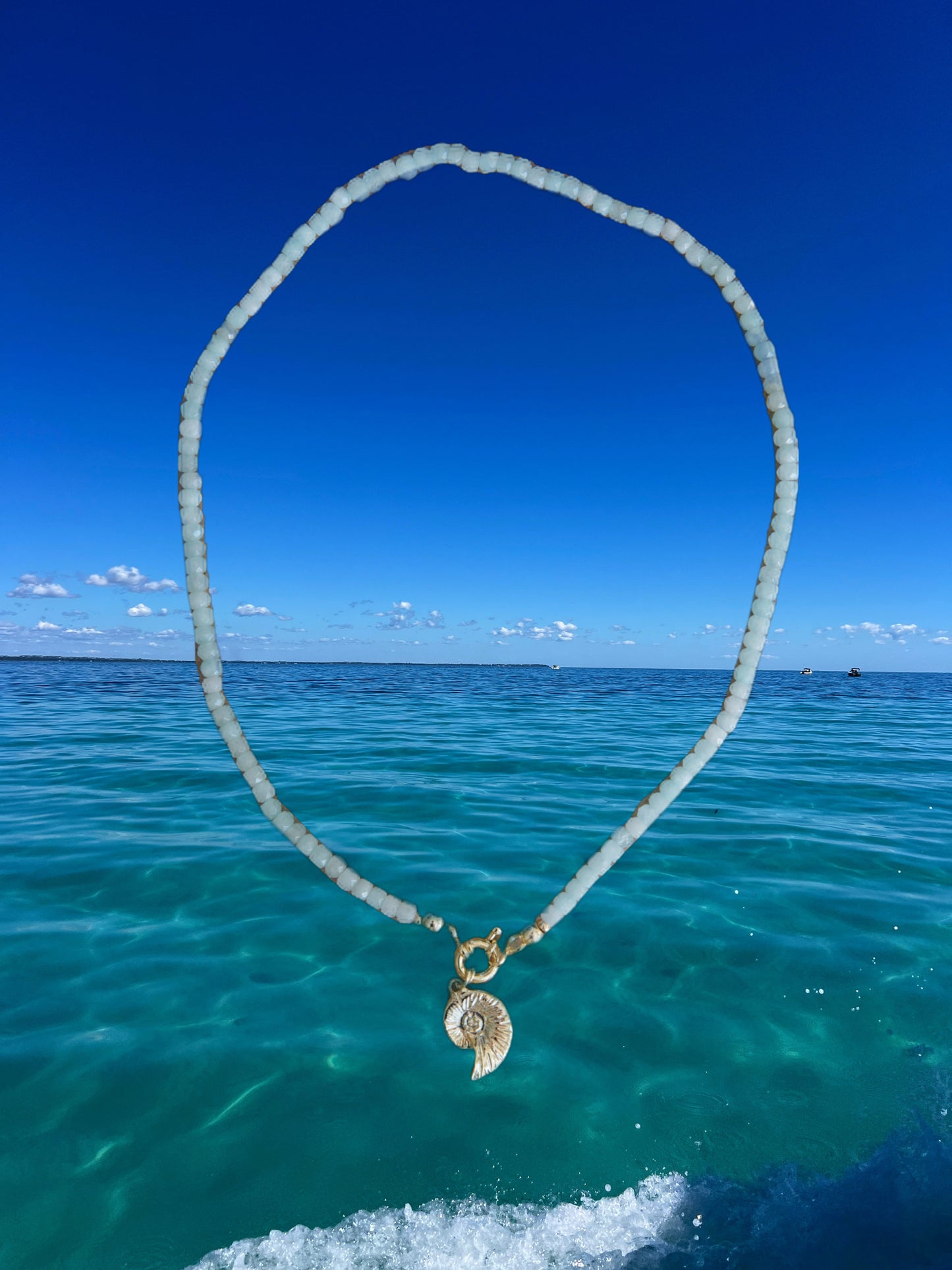 Aquamarine Nautilus Necklace