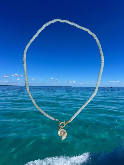 Aquamarine Nautilus Necklace
