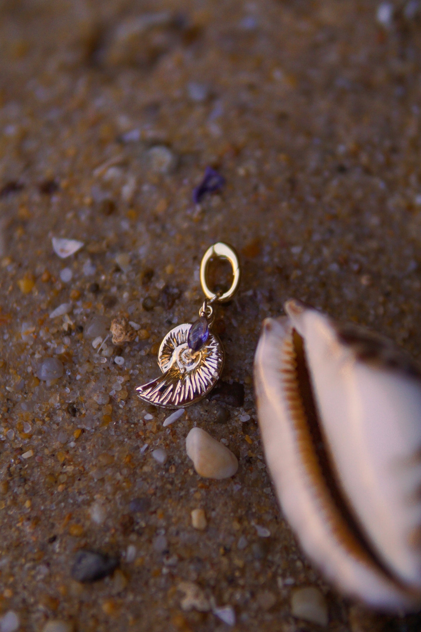Nautilus Bikini Charm