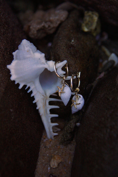Sea Star Earrings