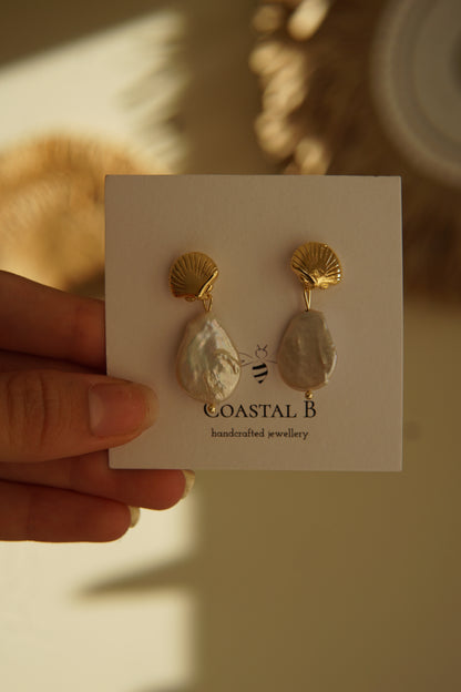 Scallop Earrings