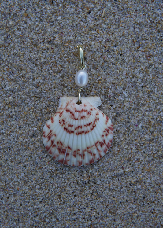SCALLOP BIKINI CHARM
